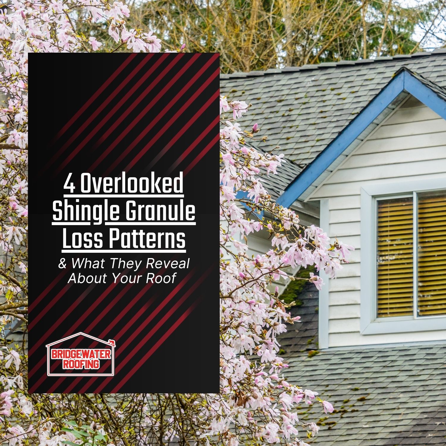 4 Overlooked Shingle Granule Loss Patterns and What They Mean