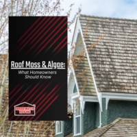 Roof Moss and Algae: What Homeowners Should Know